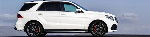 W166 Bj ab 2015