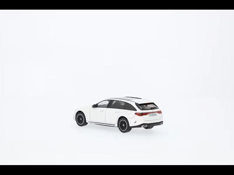 Hochwertiges Modellauto: E-Klasse AMG Line S214